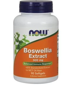 Now Foods Boswellia Extract 500mg 90 Softgels